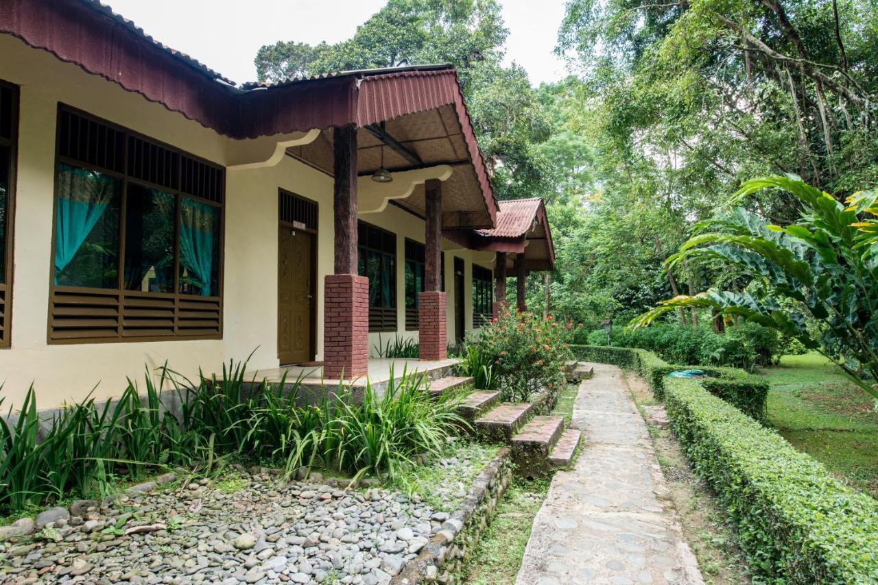 Ecolodge Bukit Lawang - Hotel&Jungletrek Ngoại thất bức ảnh
