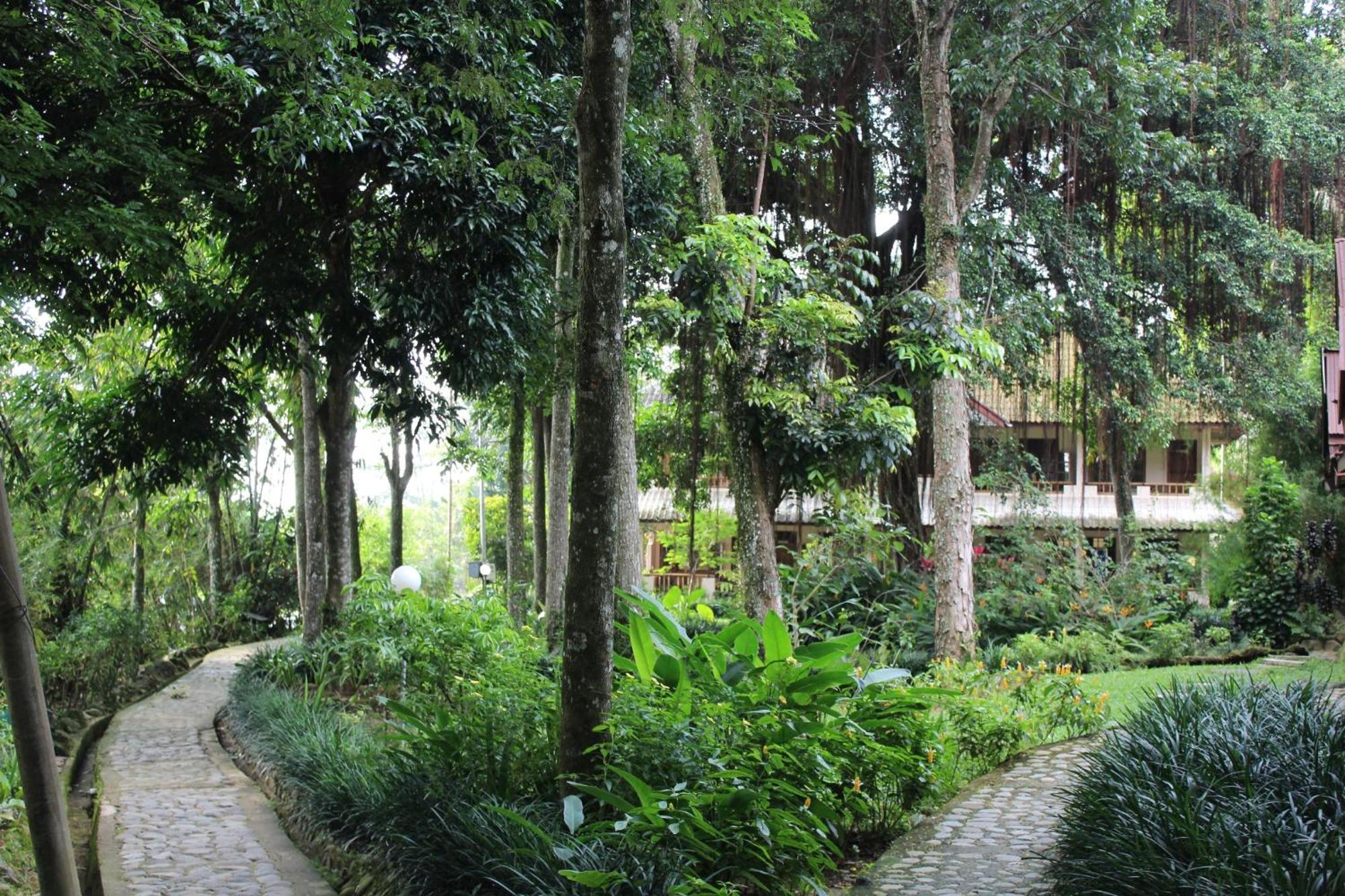 Ecolodge Bukit Lawang - Hotel&Jungletrek Phòng bức ảnh
