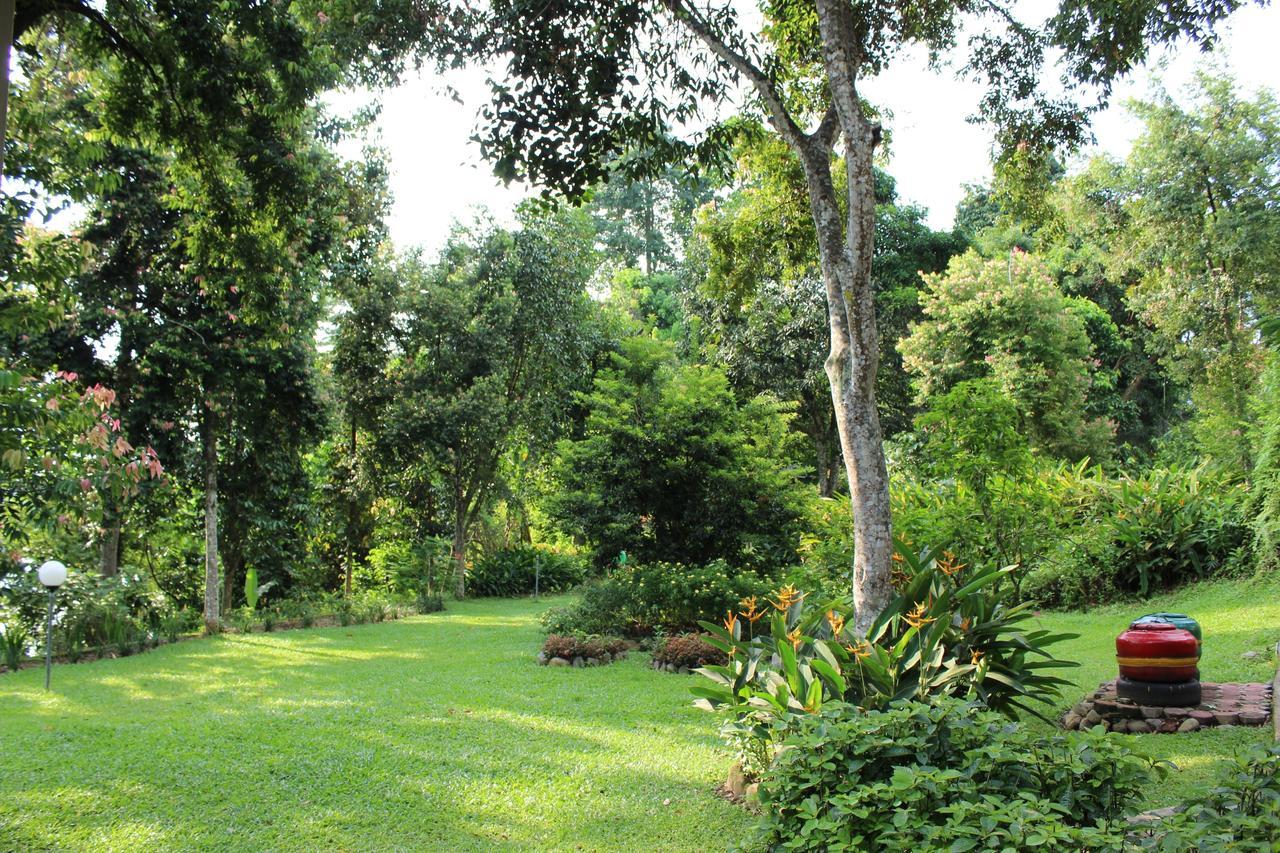 Ecolodge Bukit Lawang - Hotel&Jungletrek Ngoại thất bức ảnh