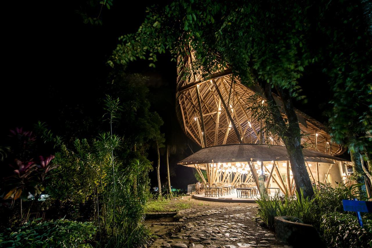 Ecolodge Bukit Lawang - Hotel&Jungletrek Ngoại thất bức ảnh