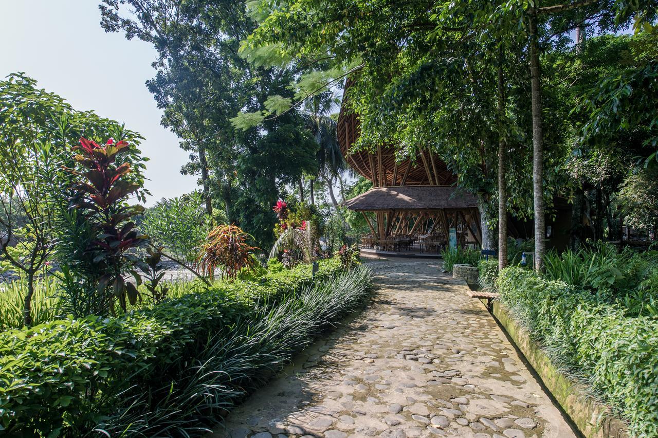 Ecolodge Bukit Lawang - Hotel&Jungletrek Ngoại thất bức ảnh