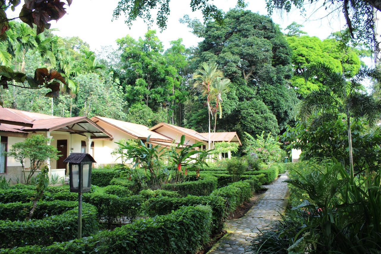 Ecolodge Bukit Lawang - Hotel&Jungletrek Ngoại thất bức ảnh