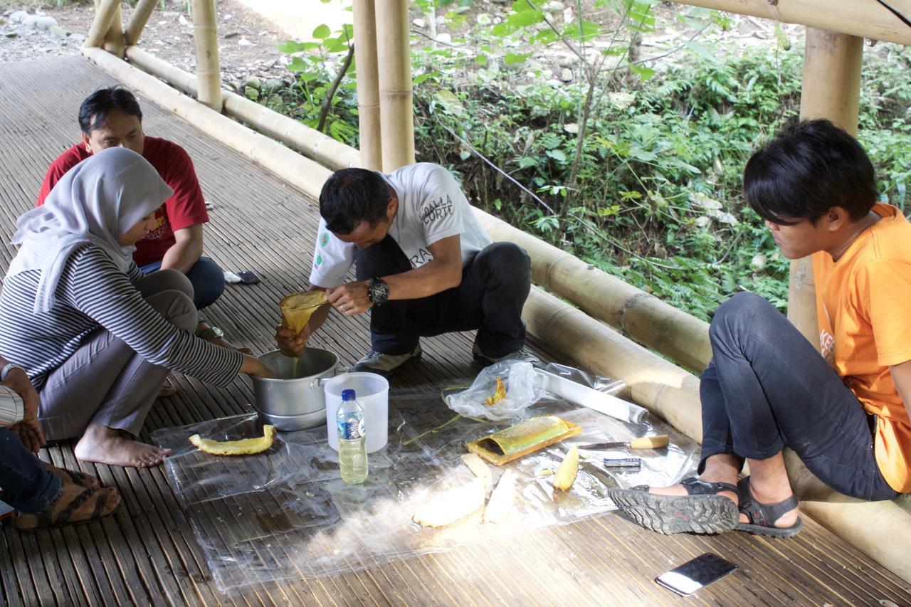 Ecolodge Bukit Lawang - Hotel&Jungletrek Ngoại thất bức ảnh